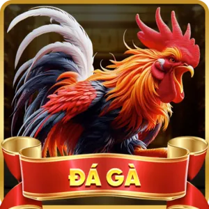 Phản hồi nhanh chóng, chính xác ff168 apk